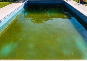 Abandoned swimming pool with green rotten algae water outdoors